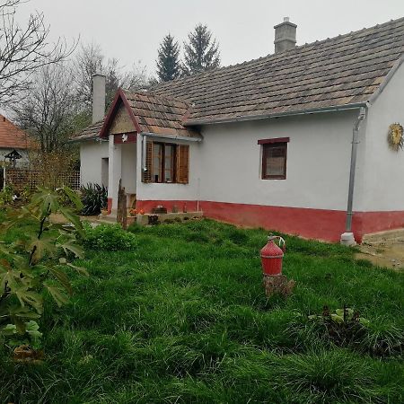 Traditionelles Bauernhaus Flieder Zalaszentgrot Экстерьер фото