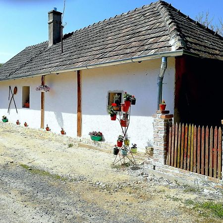 Traditionelles Bauernhaus Flieder Zalaszentgrot Экстерьер фото