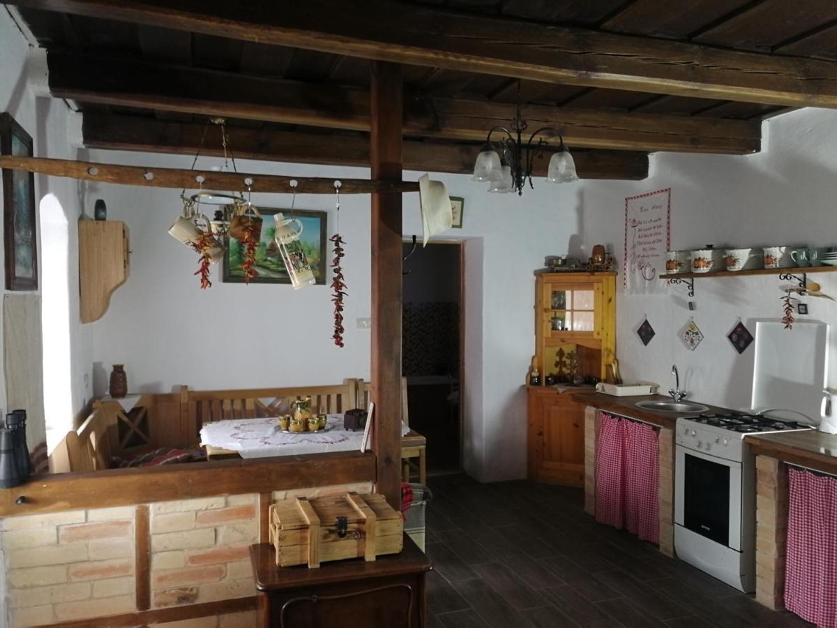 Traditionelles Bauernhaus Flieder Zalaszentgrot Экстерьер фото