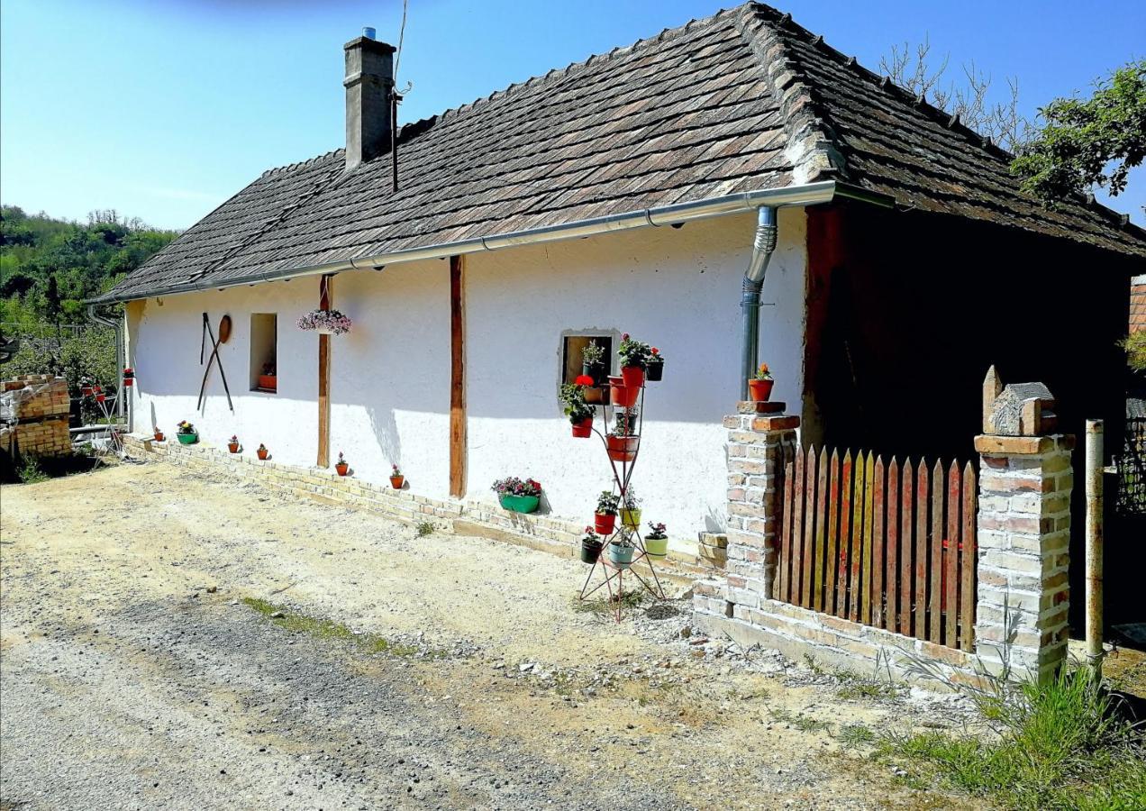 Traditionelles Bauernhaus Flieder Zalaszentgrot Экстерьер фото